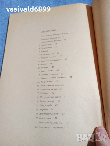 Гюнтер де Бройн - Тристан и Изолда , снимка 5 - Художествена литература - 54594977