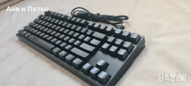 Полумеханична клавиатура CM Quick Fire RAPID-i, снимка 2 - Клавиатури и мишки - 54109418