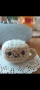 Плетени котенца и капибара , снимка 6