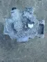 447250-5970, 7SAS17C компресор за климатик от Toyota Highlander (GSU7) 3.5 VVTI, снимка 6