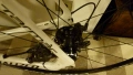 Specialized Tarmac Disc Frameset SL5 Expert Fact 10 Carbon 56cm, снимка 16