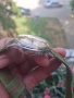 Seagull 1963 chronograph military watch, снимка 9