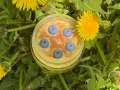 Ръчно Изработена Ароматизирана Свещ 110 гр - Крем Брюле и Боровинки, снимка 2