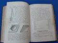 1893г. Развъждане на горите, снимка 12