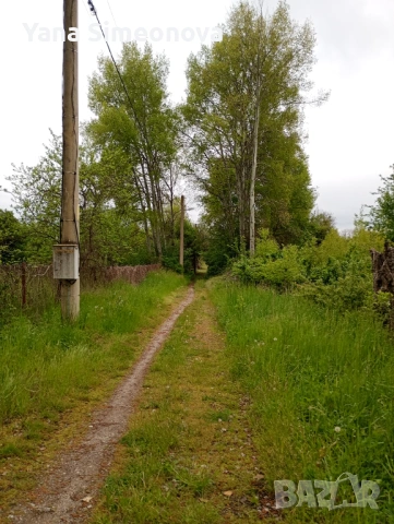 Парцел, с. Ноевци, общ. Перник , снимка 7 - Парцели - 54612712