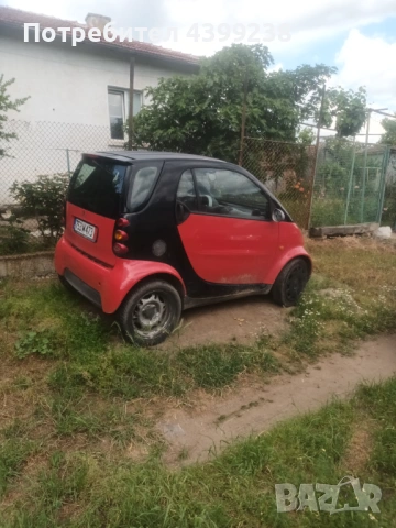 Smart 