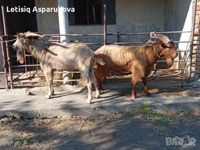 Продавам пръчове