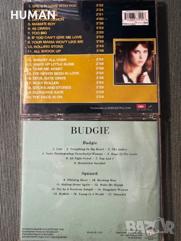 Suzi Quatro - The Rubettes - Budgie, снимка 10 - CD дискове - 54516866