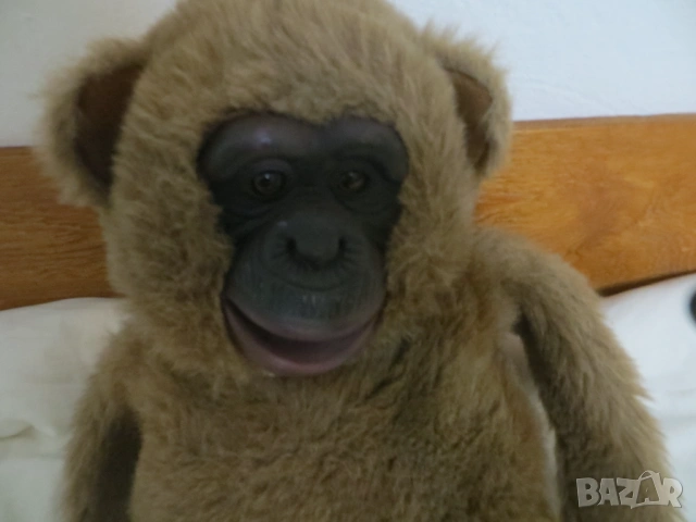 Плюшени маймунки за театър, снимка 10 - Плюшени играчки - 43147092