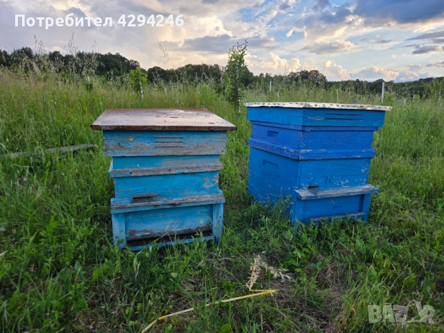 Продажба на пчелни кошери