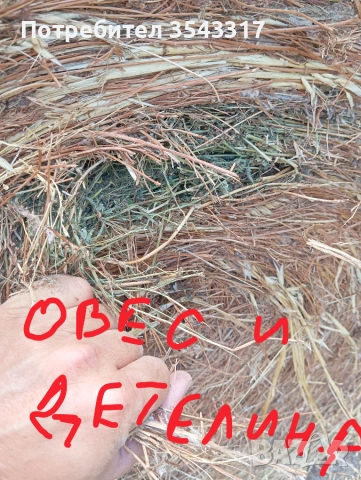 Люцерна,сено, овес и детелина рулонки