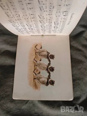 Продавам  книжка " Концертът на котките“ (The Cat's Concer) A.M. Lockyer and F.E. Weatherly , снимка 4 - Художествена литература - 55307007