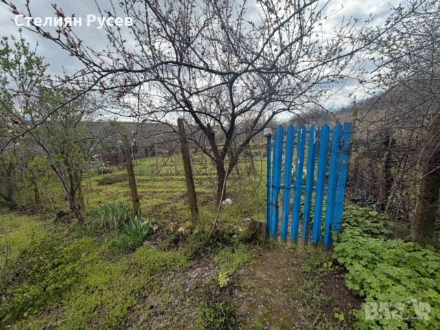  794 кв лозе  НА ПЪРВА ЛИНИЯ  / ГРАДИНА / терен / парцел / в гр. Силистра - ПОД ОСМИ ПОСТ , пътя за , снимка 2 - Земеделска земя - 54133231