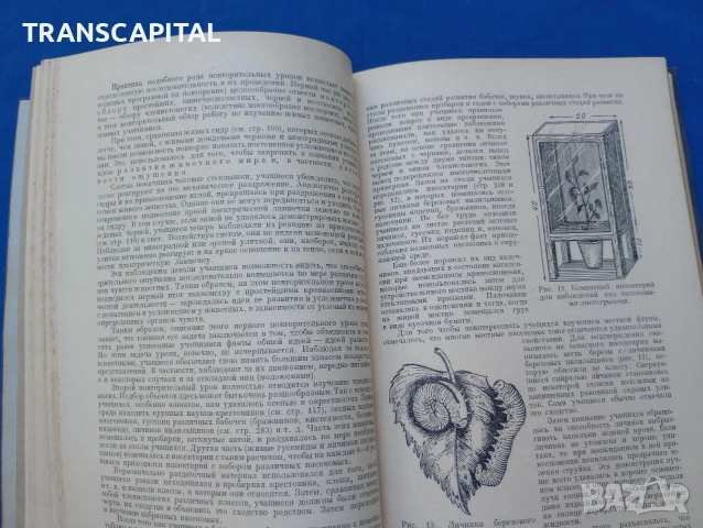 Зоология, методи на преподаване, на руски език, снимка 10 - Други - 55265155