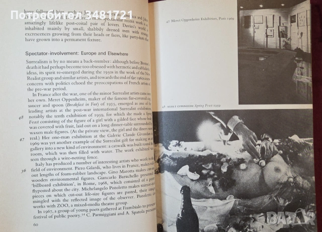 Арт-пространства и хепънинги / Environments and Happenings, снимка 10 - Енциклопедии, справочници - 54244514