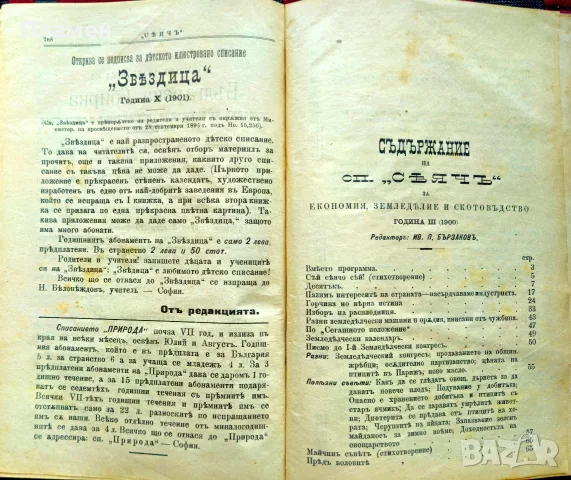 Сеячъ. Кн. 18-19, 23-24 / 1899; Кн. 1, 5, 6, 7, 9, 10, 11 и 12 / 1900, снимка 14 - Антикварни и старинни предмети - 55502712