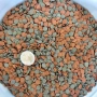 Тетра /Tetra Wafer Mix, снимка 2