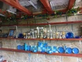 кученца от развъдник von Rozzen , снимка 9