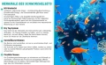 3-в-1 комплект за гмуркане / шнорхелинг с маска, шнорхел и плавници, Lealinga. Различни размери, снимка 10