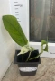 Epipremnum Pinatum Marble, снимка 2