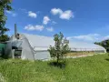 Оранжерия парник, снимка 2
