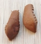 Малки цървулки за декорация , снимка 4