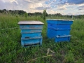 Продажба на пчелни кошери, снимка 1