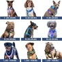 Ново!!! Нагръдник за кучета Spark Paws No-Pull - Проектиран за безопасност и контрол -Размер S, снимка 4