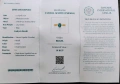 Сребърен пръстен с Апатит цвят Параиба и сертификат , снимка 4