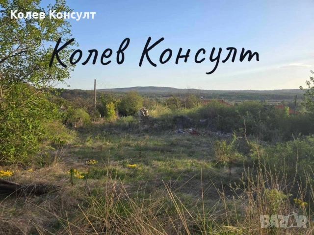 Къща село Райново, снимка 2 - Къщи - 54709639