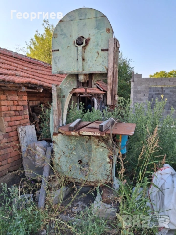 Български банциг ф80см.
