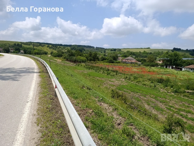 Парцел в с.Кайнарджа, снимка 11 - Парцели - 52271773