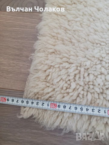 Продавам китеници с къс косъм, снимка 2 - Други - 55257750