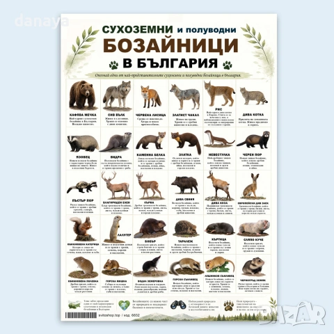 6832 Образователно табло Сухоземни и полуводни бозайници в България, А3 формат