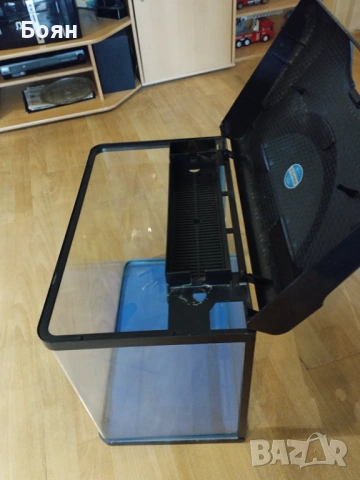 Малък терариум, снимка 4 - Хамелеон - 53988992