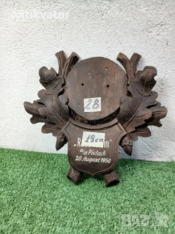 Поставки за сръндак, ловни трофеи, лов и риболов, снимка 5 - Други - 54239015