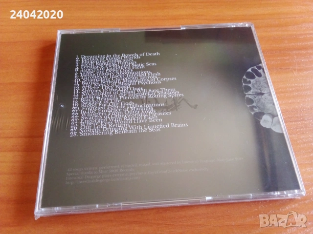 NEW! Intestinal Disgorge – Everlasting Fractal Nightmare, US Grind/Noise, снимка 2 - CD дискове - 55155110