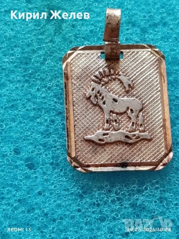 Сребърен медальон зодиакален знак КОЗИРОГ ♑ стил и елегантност 29552, снимка 4 - Колиета, медальони, синджири - 55085054