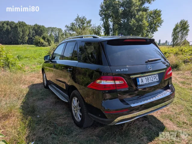 Mercedes-Benz ML250, снимка 2 - Автомобили и джипове - 52930733