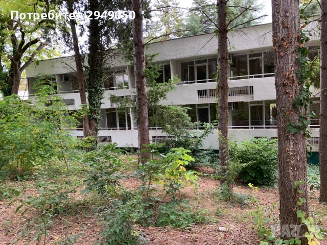 Почистване на дворове и всякакъв вид парцели, снимка 7 - Други услуги - 54068795