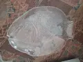 Плато от три части, стъклена тава и сервиз за кафе, снимка 2