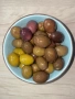 Натурални Маслини , снимка 12