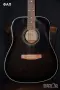Zoom 504 II Acoustic и Carlo Robelli CW4102EQB - el-acoustic guitar, снимка 4
