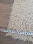 Продавам китеници с къс косъм, снимка 2