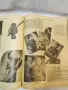 Сборник списания „Икономия и домакинство“ (1936–1937 г.) Съдържание: Общо 7 броя. , снимка 11