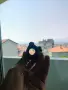 Vortex crossfire , снимка 5