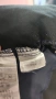 Snickers size 56 в отлично състояние работен панталон , снимка 12