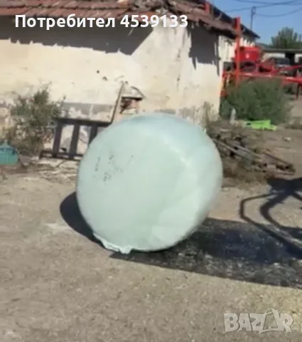 Бали със силаж царевица 