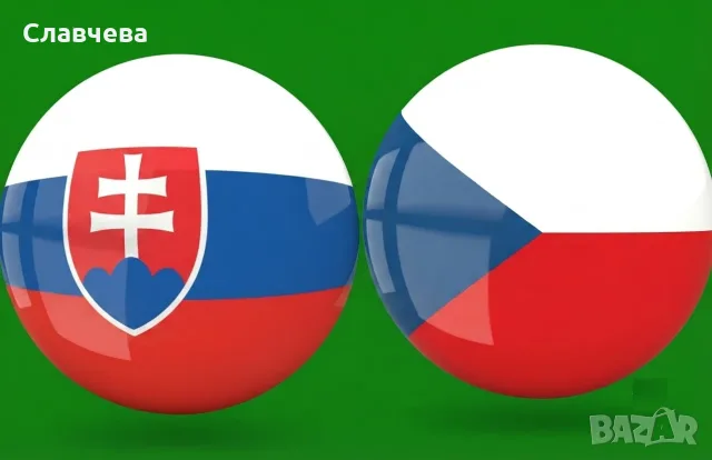 Преводи от и на чешки и словашки език