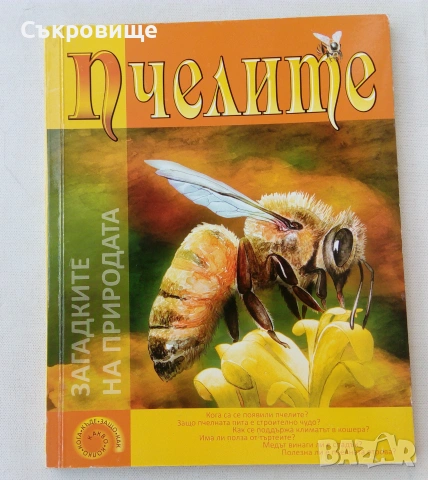 Детска картонена книжка с капачета голям формат Пчелите Загадките на природата, снимка 5 - Детски книжки - 43302877